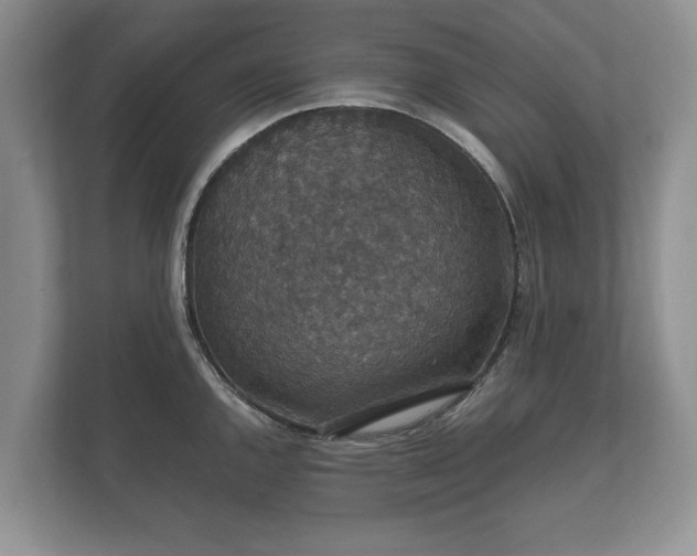 X0000112431144200908211155