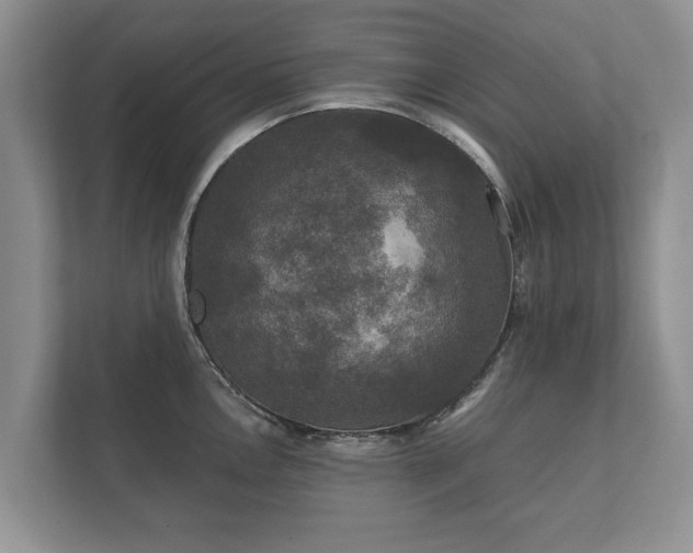 X0000112431146200908211155