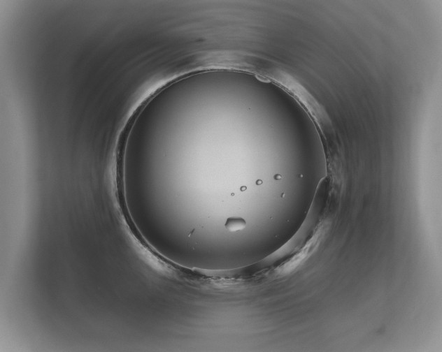 X0000112431147200908211155