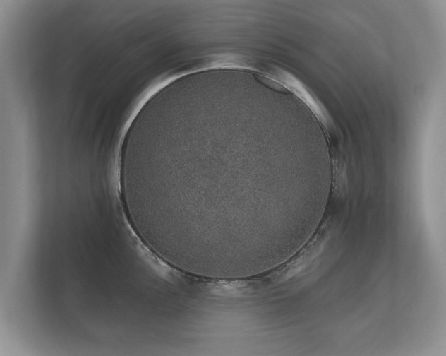 X0000112431148200908211155