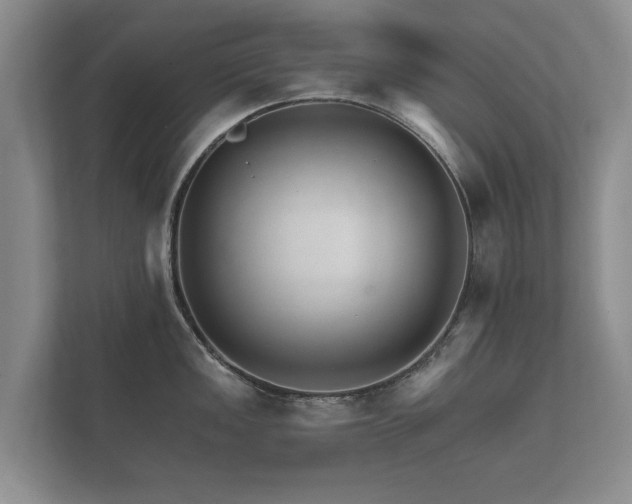 X0000112431149200908211155
