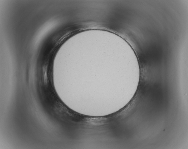 X0000112431150200908211155