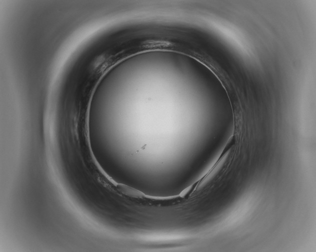 X0000112431151200908211155