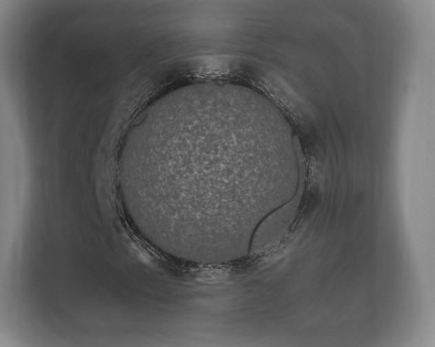 X0000112431153200908211155