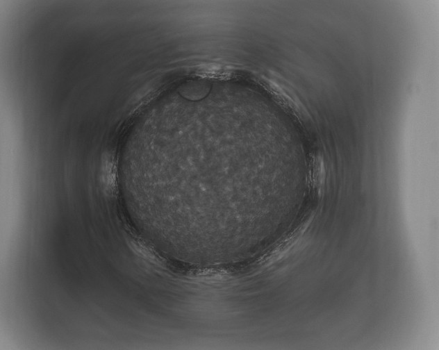 X0000112431154200908211155
