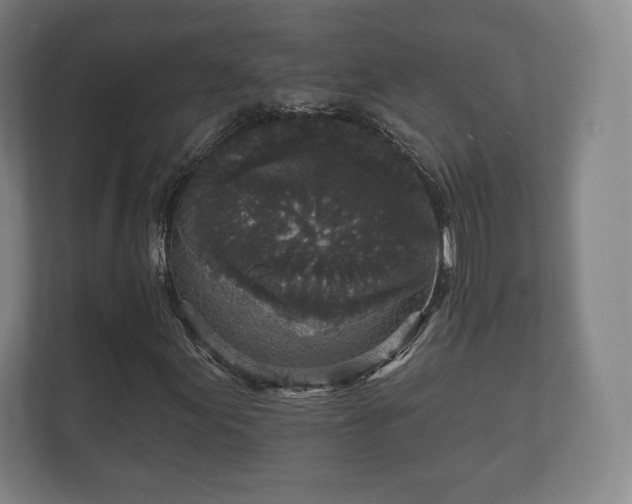 X0000112431155200908211155