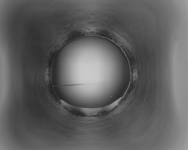 X0000112431156200908211155