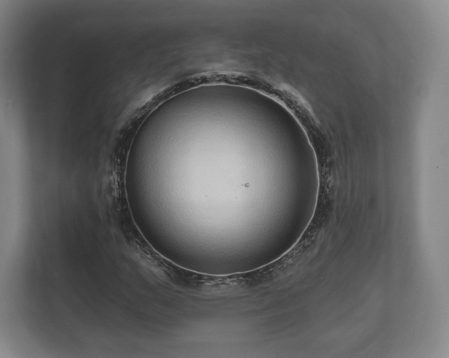 X0000112431159200908211155