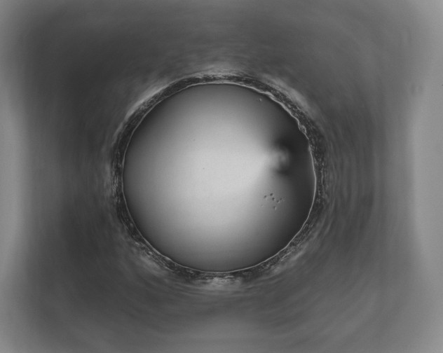 X0000112431160200908211154