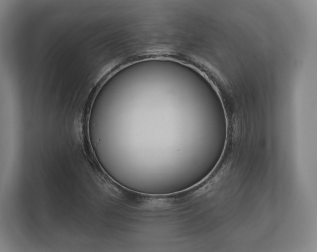 X0000112431162200908211154