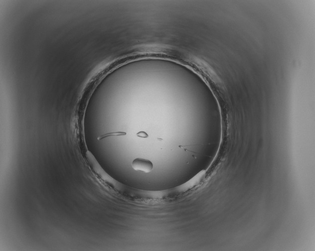 X0000112431164200908211154