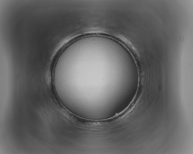 X0000112431167200908211154