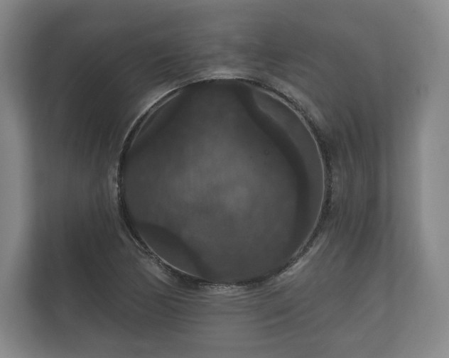 X0000112431170200908211154