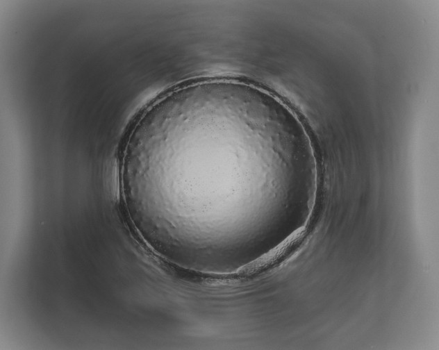 X0000112431171200908211154