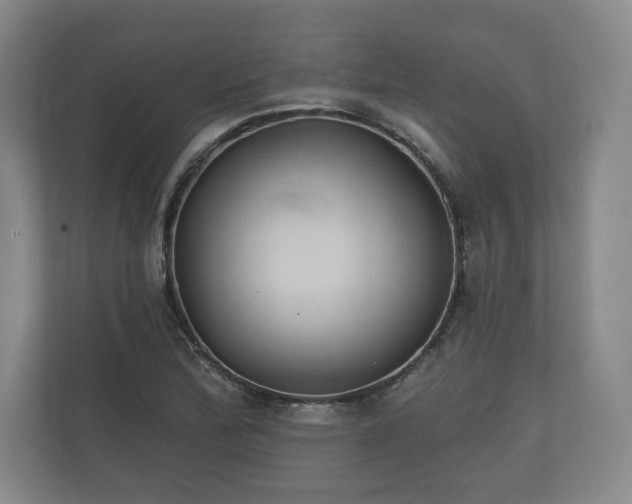 X0000112431172200908211154