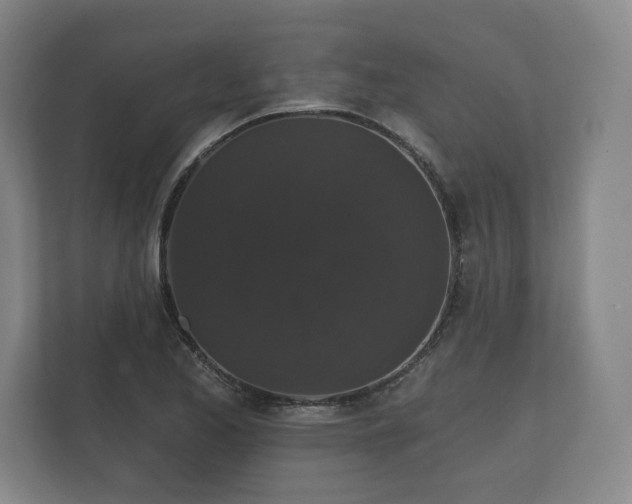 X0000112431173200908211154