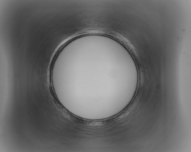 X0000112431174200908211154