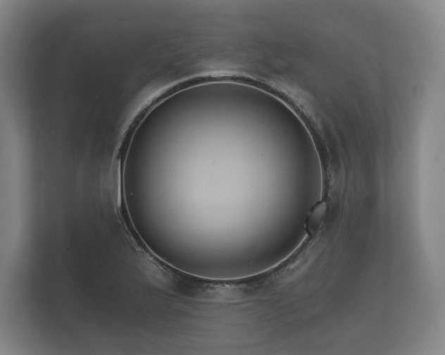 X0000112431175200908211154