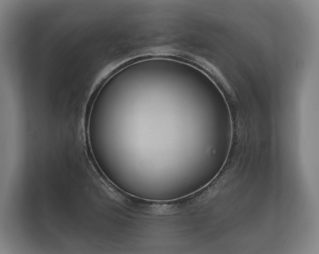 X0000112431176200908211154