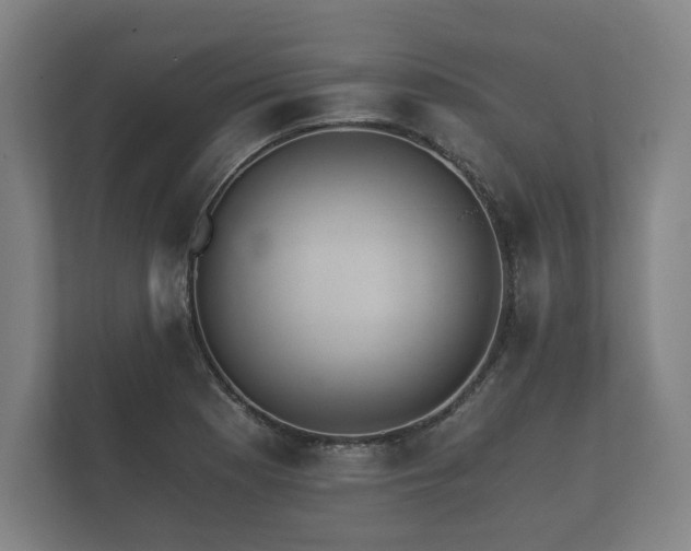 X0000112431177200908211154