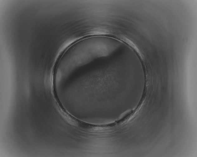 X0000112431179200908211154