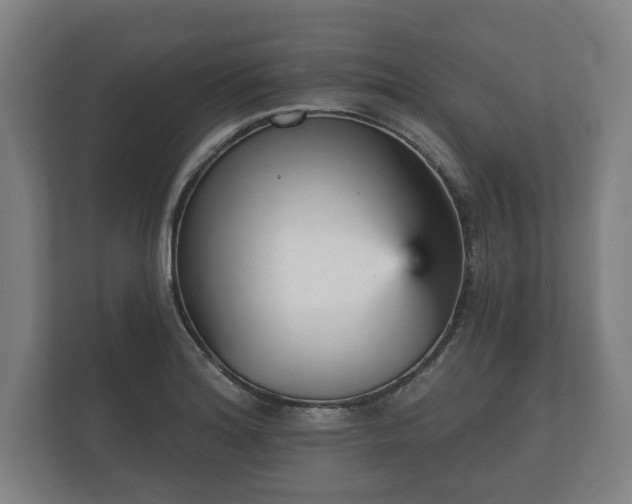 X0000112431180200908211154