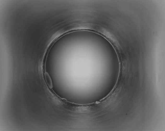 X0000112431181200908211154