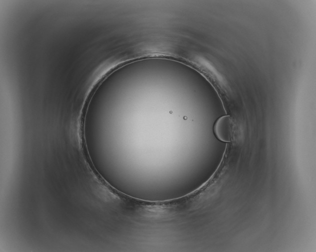 X0000112431182200908211154