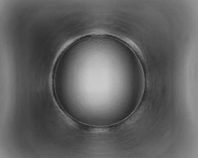 X0000112431183200908211154