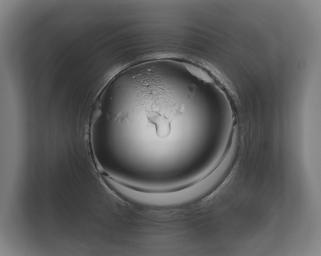 X0000112431185200908211154