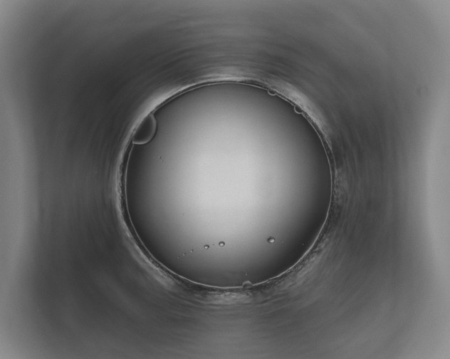 X0000112431187200908211154