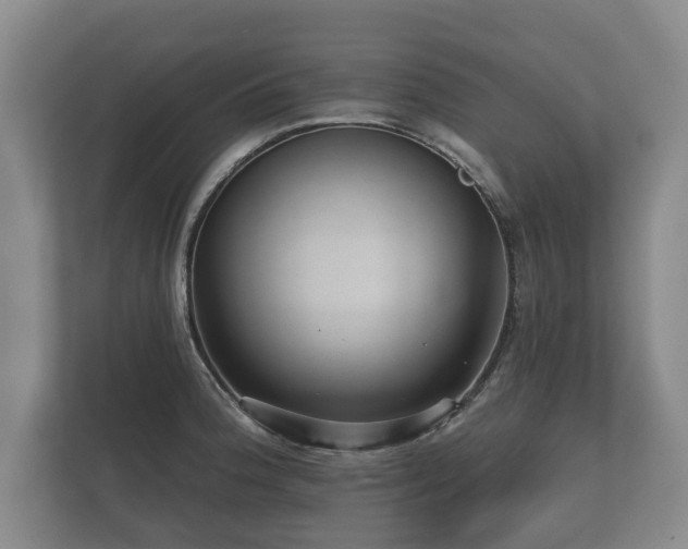 X0000112431188200908211154