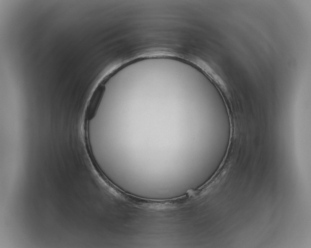 X0000112431189200908211154