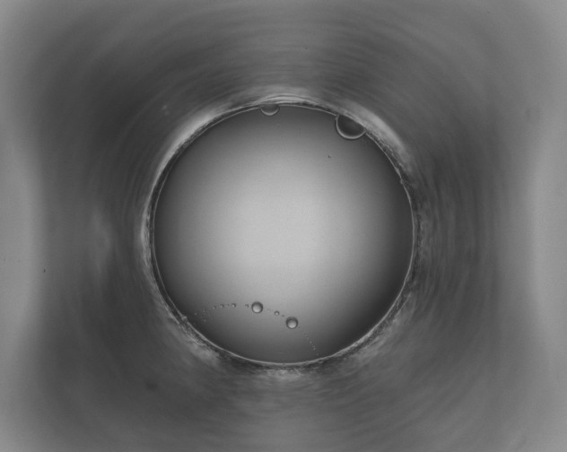 X0000112431190200908211154