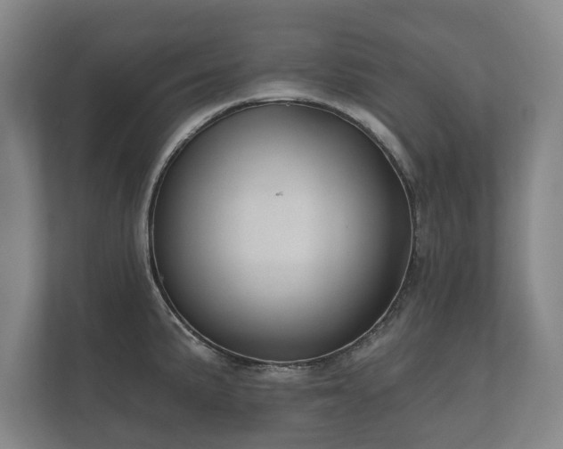 X0000112431191200908211154