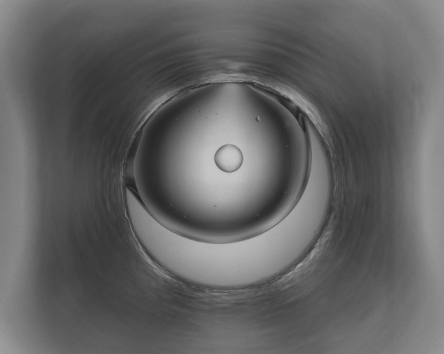 X0000112431193200908211154