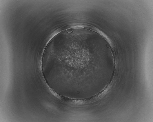 X0000112431194200908211154