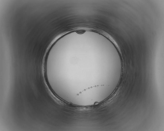 X0000112431195200908211154