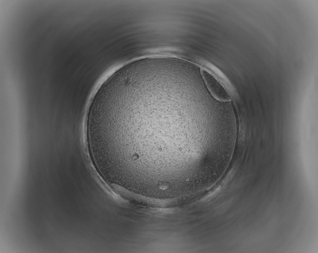 X0000112431196200908211154