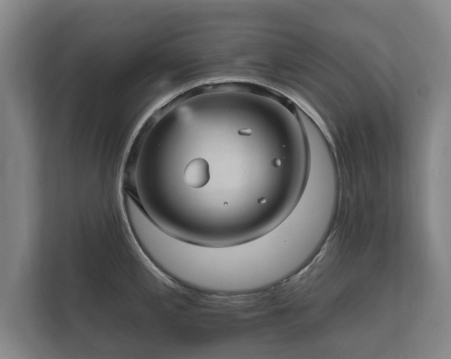 X0000112431197200908211154