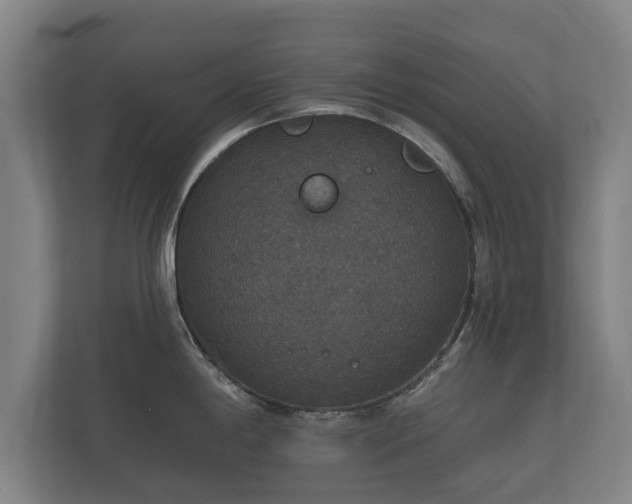 X0000112431198200908211154
