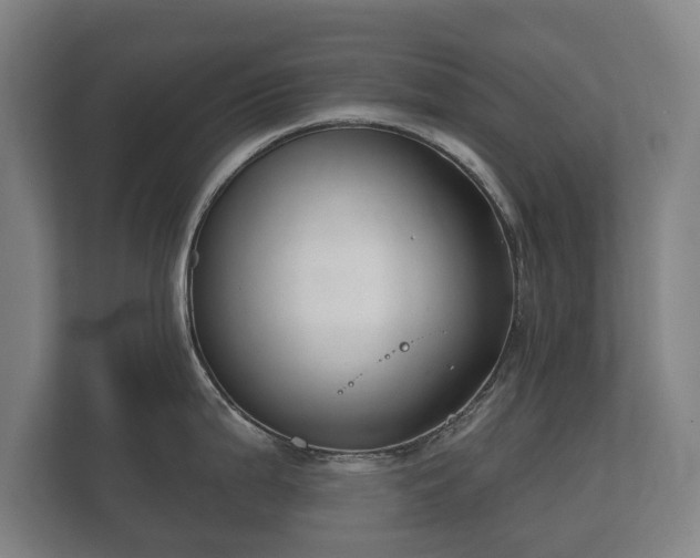 X0000112431199200908211154