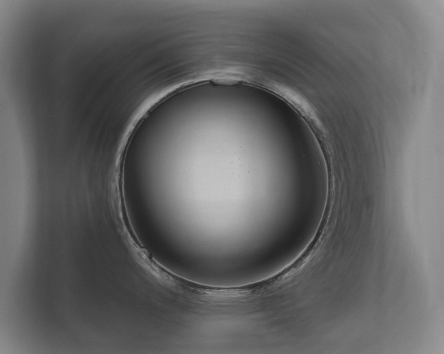 X0000112431200200908211154