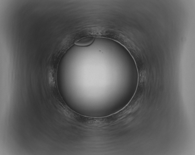 X0000112431202200908211153