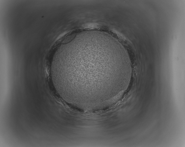 X0000112431206200908211153