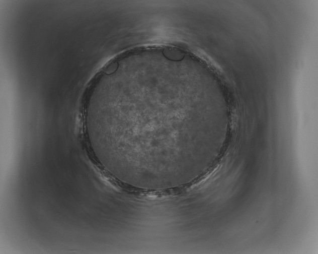X0000112431208200908211153