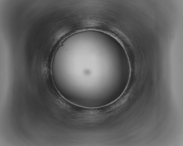 X0000112431210200908211153