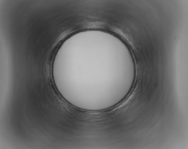 X0000112431211200908211153