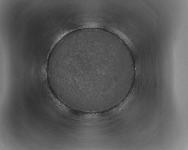 X0000112431212200908211153