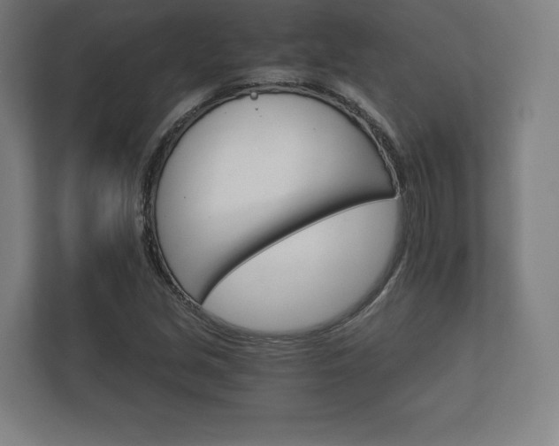 X0000112431213200908211154